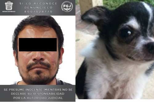 Video: A la carcel por asesinar a un perrito chihuahua